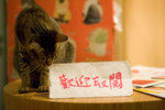 _MG_8176-2
