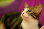 _MG_8185-2_filtered
