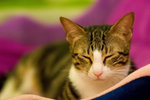 _MG_8190-2_filtered