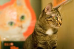 _MG_8199-2_filtered
