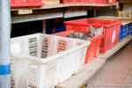 _MG_0169-2