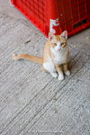 _MG_0903-2