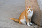_MG_0910-2