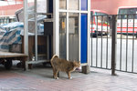 _MG_1576-2