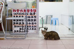 _MG_2063-3