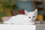 _MG_8769-2