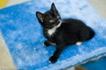 _MG_9555-2