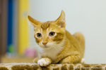_MG_7902-2