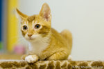 _MG_7909-2