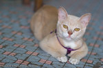 _MG_0413-2
