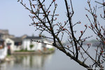 aIMG_0623
