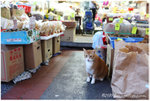 aIMG_7659
