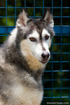 _MG_3481-2