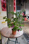 _MG_9596-2