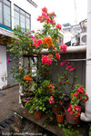 _MG_9597-2