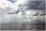 aIMG_6935