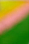 _MG_2443-2