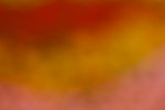 _MG_2444-2