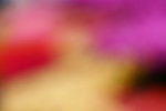_MG_2457-2