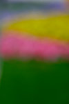 _MG_2458-2