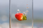 _MG_4518-2