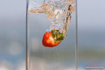 _MG_4543-2
