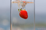 _MG_4570-2