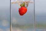 _MG_4594-2
