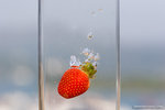 _MG_4613-2