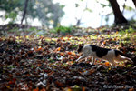 aIMG_5547