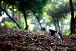 aIMG_5550