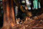 aIMG_5584