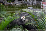 aIMG_9942