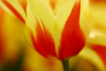 _MG_2320-2