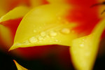 _MG_2326-2
