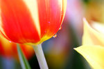 _MG_2327-2