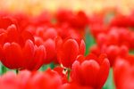 _MG_2361-2