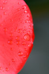 _MG_2362-2