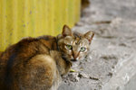 _MG_0996 (灣仔)