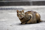 _MG_1002 (灣仔)