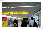 DSC_0229