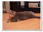 DSCF7431