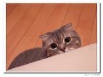 DSCF7435
