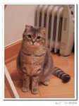 DSCF7437