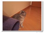 DSCF7456