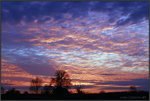 _MG_0786s