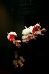 20070512