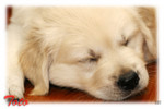toto_050121a