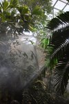IMG_3694