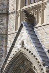 IMG_3525